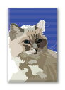 在庫限り マグネットシリーズ【Cat Ragdoll】輸入雑貨 猫雑貨 ねこグッズ Cat