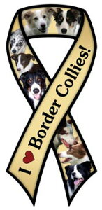 在庫限り ドッグブリード リボン カーマグネット【ボーダー・コリー】【イエロー】輸入雑貨 犬雑貨 犬グッズ