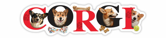 在庫限り　アルファペットマグネット【ウエルシュ・コーギー】輸入雑貨　犬雑貨　犬グッズ