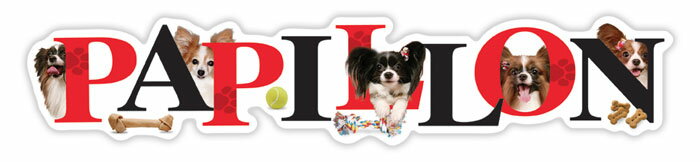 在庫限り　アルファペットマグネット【パピヨン】輸入雑貨　犬雑貨　犬グッズ