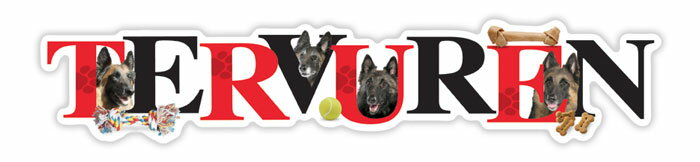 在庫限り　アルファペットマグネット【ベルジアン・タービュレン】輸入雑貨　犬雑貨　犬グッズ