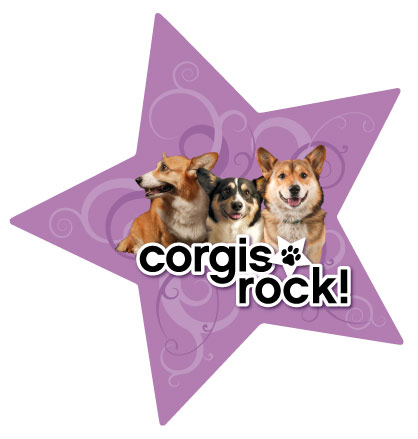在庫限り　DOG　スターマグネット【コーギー】輸入雑貨・犬グッズ・犬雑貨