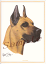 在庫限り グリーティングカード【グレート・デーン】輸入雑貨 犬雑貨 犬グッズ