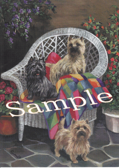 在庫限り グリーティングカード【ケアーン・テリア/ケアン】輸入雑貨 犬雑貨 犬グッズ