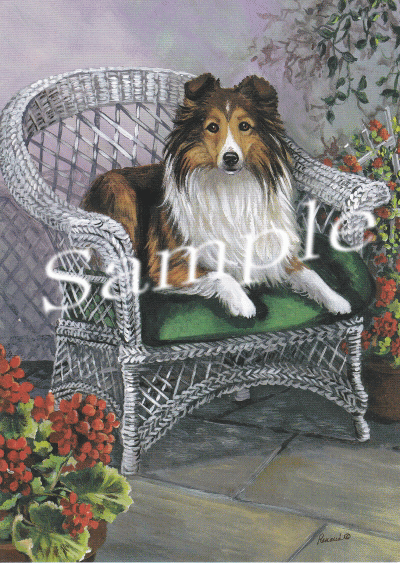 在庫限り グリーティングカード【シェルティー】輸入雑貨 犬雑貨 犬グッズ