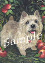 在庫限り グリーティングカード【ノーリッチ・テリア】輸入雑貨 犬雑貨 犬グッズ