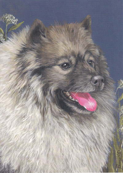 在庫限り グリーティングカード【キースホンド】輸入雑貨 犬雑貨 犬グッズ