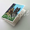 在庫限り グリーティングカード【ケアーン・テリア/ケアン Donation】輸入雑貨 犬雑貨 犬グッズ