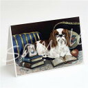 在庫限り グリーティングカード【キャバリア Perfect Student】輸入雑貨 犬雑貨 犬グッズ