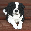 在庫限り フィギュア ドッグ 【ボーダーコリー】輸入雑貨 犬雑貨 犬グッズ