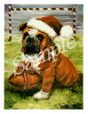 在庫限り クリスマスカード Ruth【ブルドッグWith Ball】輸入雑貨 犬雑貨 犬グッズ クリスマス クリスマスカード Xmas