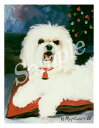 在庫限り クリスマスカード Ruth【マルチーズ ショートヘアー】輸入雑貨 犬雑貨 犬グッズ クリスマス クリスマスカード Xmas