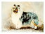在庫限り グリーティングカード Ruth【シェットランド・シープドッグ Standing Blue Merle】輸入雑貨 犬雑貨 犬グッズ 517円