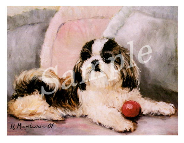 在庫限り　グリーティングカード Ruth【シーズー　Red Ball】輸入雑貨　犬雑貨　犬グッズ