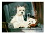 グリーティングカード Ruth【ウエスト・ハイランド・ホワイト・テリア 2dogs Sofa】輸入雑貨 犬雑貨 犬グッズ 517円