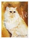 在庫限り グリーティングカード Ruth【Persian White】輸入雑貨 猫雑貨 ねこグッズ