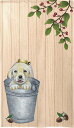 暖簾　Labrador in bucket