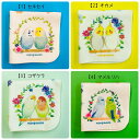 ☆ハンカチ☆ BirdCageシリーズ【鳥雑貨・ことりグッズ☆セキセイインコ★オカメインコ★コザクラ★マメハルリハ☆】