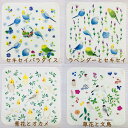 ☆ハンカチ☆ セキセイパラダイスとボタニカルシリーズ【鳥雑貨・ことりグッズ☆セキセイインコ★オカメインコ★文鳥☆】