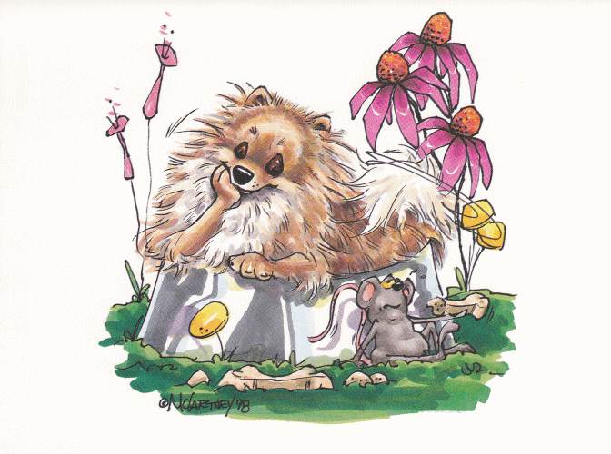 在庫限り　グリーティングカード【ポメラニアン】輸入雑貨　犬雑貨　犬グッズ