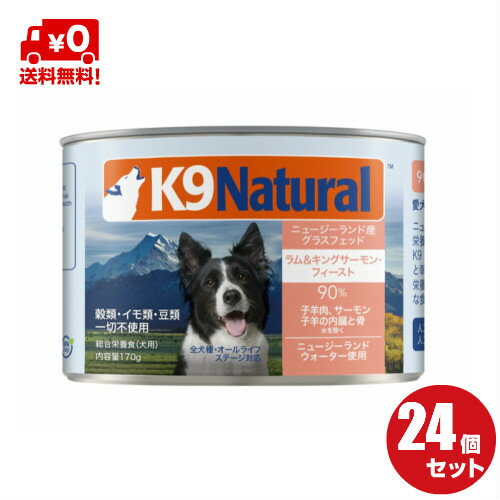 24ۡK9Natural(ʥʥˡۥץߥ̥ɥåա 󥰥170g24̥åȡ100ʥ...