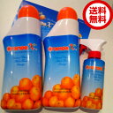 万能洗剤 オレンジエックス800ml×2本