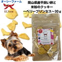 最大13%OFFクーポン犬 おやつ 無添加 オーシーファーム 岡山県産平飼い卵と米粉のクッキーベリープリンセス30g クランベリー ブルーベリー
