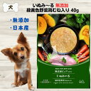 最大13%OFFクーポンいぬみ~る 無添加 緑黄色野菜鶏むね入り 40g いぬみーる ペースト ぴゅーれ 犬 ウェット