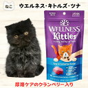 リニューアル 猫 尿路 結石 予防 おやつ ウェルネス キトルズ ツナ クランベリー入り 56g 猫 尿路結石 予防 フード 泌尿器系 ブルーベリー