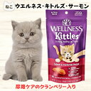 限定クーポン猫 尿路結石 予防 おやつ ウェルネス キトルズ サーモン クランベリー入り 56g 猫 尿路結石 予防 フード 泌尿器系 ブルーベリー