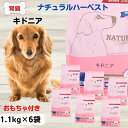 【最大11%OFF】リニューアル ナチュラルハーベスト 犬 腎臓サポート 犬 腎臓病 療法食 犬 フード 低リン 犬 食餌療法食 腎臓 ハーベスト キドニア N...