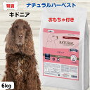 限定10%OFFクーポンナチュラルハーベスト 犬 腎臓サポート 犬 腎臓病 療法食 犬 フード 低リン 犬 食餌療法食 腎臓 送料無料 キドニア おもちゃプレゼ...