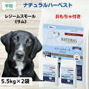 最大13%OFFクーポンナチュラルハーベストレジームスモール ドッグフード 無添加 肥満 犬 無添加 ドッグフード ダイエット ナチュラルハーベスト レジームスモール ラム 5.5kg×2袋 ダイエット 成犬NATURAL Harvest 食餌療法食