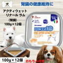 最大13%OFFクーポンフォルツァ10 療法食 FORZA10 リナール アクティウェット ラム 腎臓 100g×12缶 ドッグフード フォルツァ ディエチ