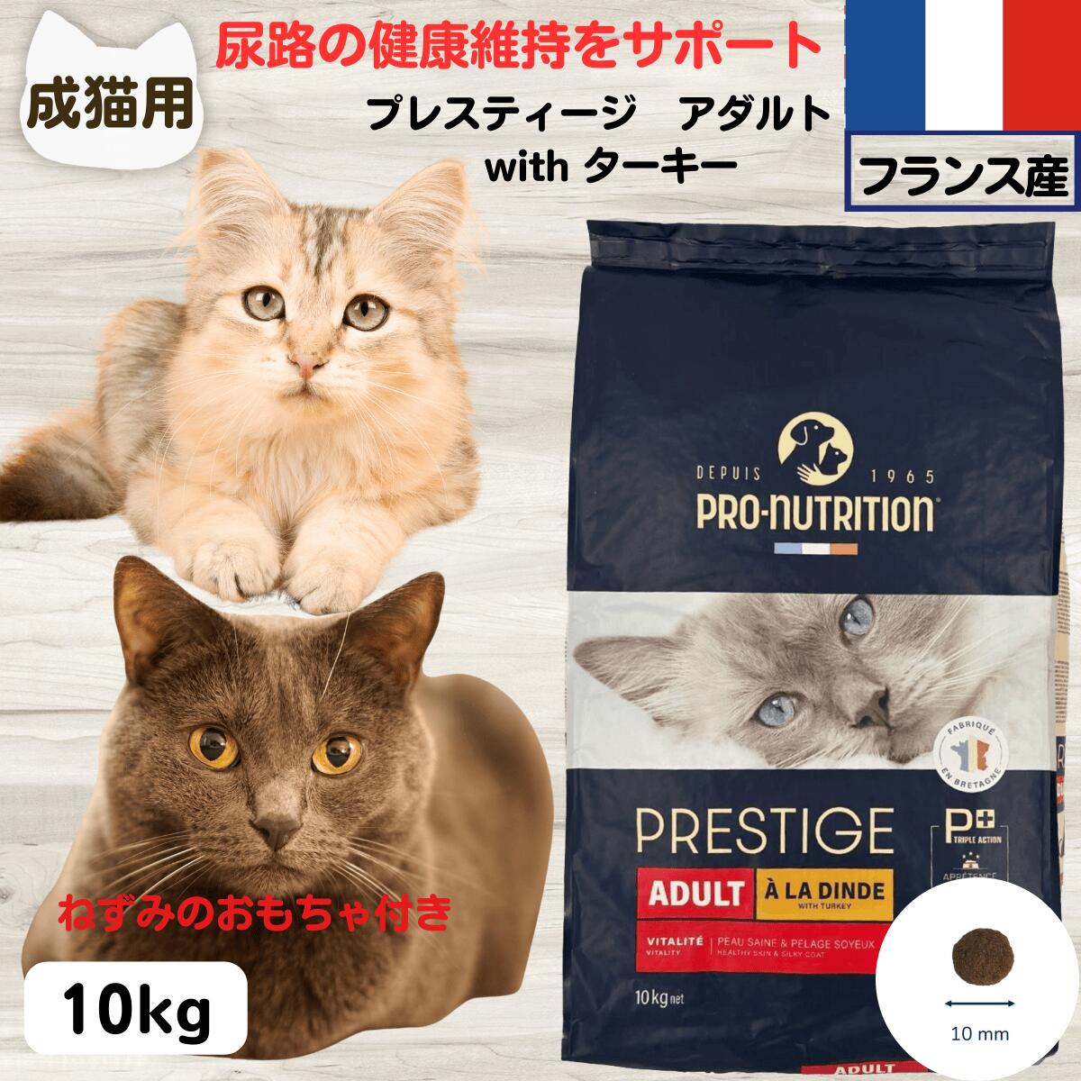 10%OFFݥ ץ쥹ƥ ǭ ̵ź åȥա ̵ź ץ쥹ƥ ǭ  with  10kg...