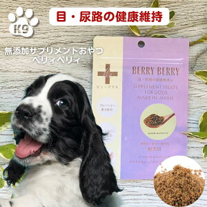 ビィプラス ベリィベリィ 60g ふりかけタイプ パウダー 犬 尿 結石 予防 おやつ ストルバイト予防 おやつ 犬 無添加 猫 ビィプラス ベリィベリィ サプリメント 目 健康 サポート 目ヤニ 尿道結石予防 ドッグフード