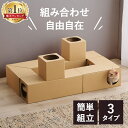 【最大400円クーポン!くらしにプラス】猫 おもちゃ トンネル ダンボール ハウス キャットトンネル アイリスオーヤマ ねこねこトンネル 玩具 運動不足 ストレ...