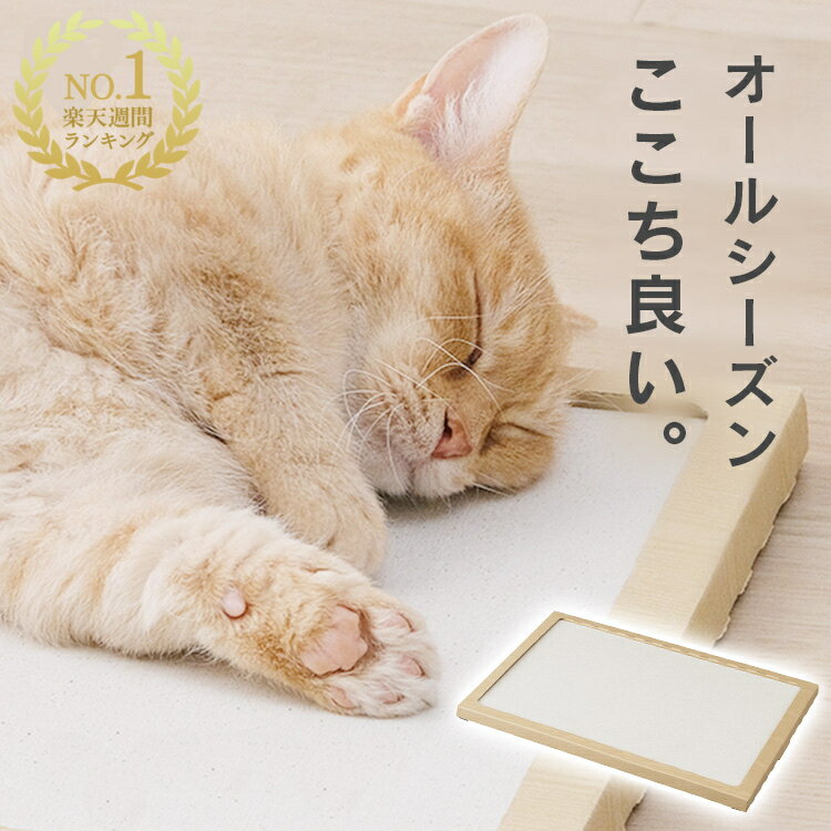 【最大400円クーポン!ワンにゃんデイ】\猫がねころぶ!?/猫 ベッド ペットマット 猫用 珪藻土 ノンアスベスト アイリスオーヤマ ネコ用 珪藻土マット 滑り...