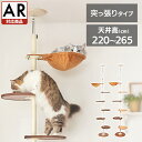 キャットタワー 突っ張り スリム 大型猫 おしゃれ 省スペース 猫タワー 爪とぎ 多頭飼い ハンモック 複数飼い キャットポール タワー ストレス解消 運動不足 ボンビアルコン【AR対応】