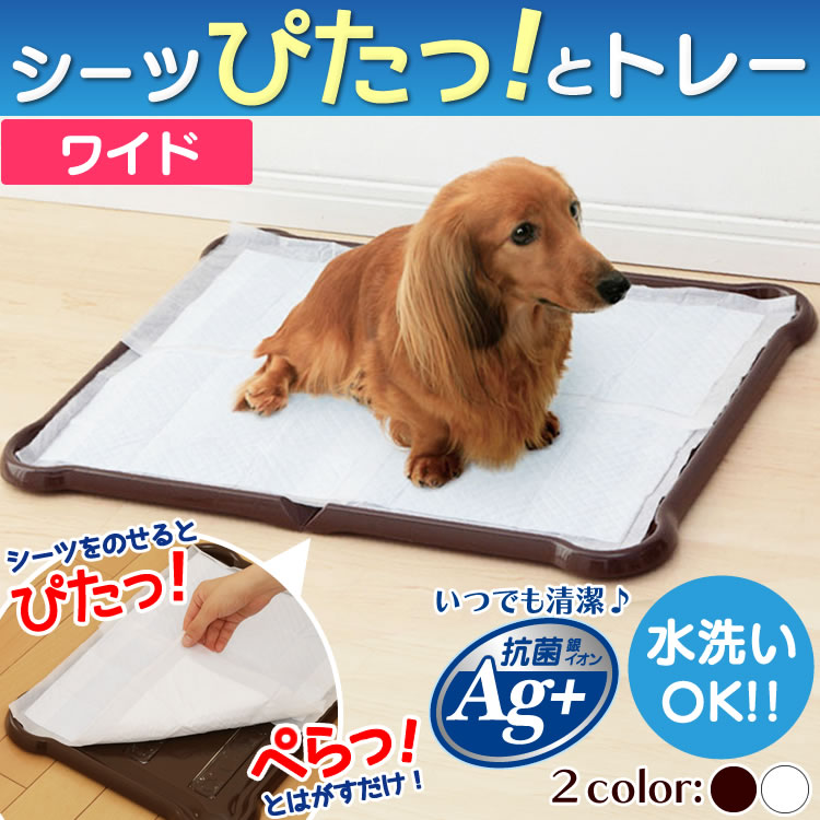 犬 トイレトレー ワイド 犬 しつけ 犬 トイレ アイリスオーヤマ シーツぴたっとトレー ワイド トイレトレー ペットトイレ 犬用トイレトレー ペット用 犬用 しつけ 犬用トイレ ペット用トイレ 犬トイレ 簡単取り替え P-SPTW 3