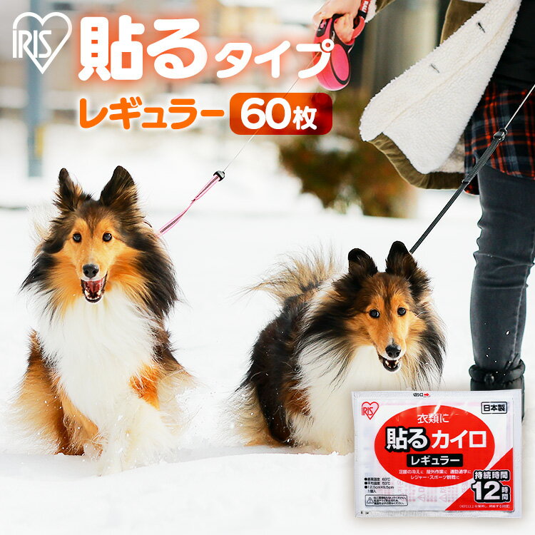 【最大400円クーポン！ワンにゃんデイ】寒さ対策 犬の散歩 貼るカイロ 60枚 アイリスオーヤマ カイロ 貼る 防寒 持ち運び 寒さ対策 あったか グッズ 衣服 服 冷え 使い捨てカイロ 使い捨て カイロ ぽかぽか家族 レギュラーサイズ 大容量 カイロ HR10Pのサムネイル