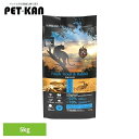 アンブロシア キャットトラウト&ラビット5kg 522125000トラウト 鱒 ウサギ ラビット 高たんぱく グレインフリー 超小粒 低脂肪 超小粒 泌尿器 【B】