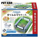 【20日限定★店内全品5%オフクーポン】アクアリウム メダカ 飼育 産卵GEX メダカ元気 育てるお守りケース めだか 隔離容器 卵 稚魚 育成 クリア ケース...