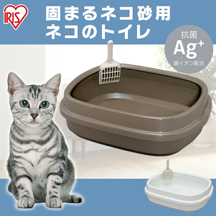 あなたの欲しい猫 トイレ 大型を激安でネットで買っちゃおう