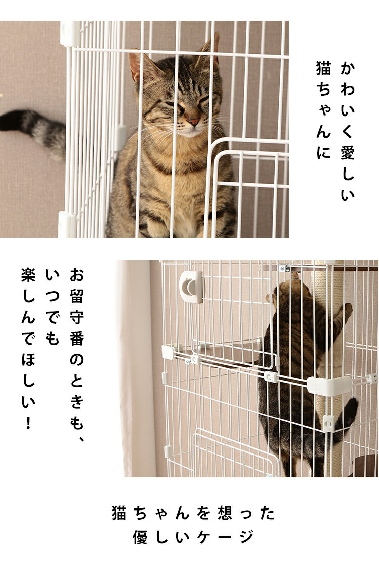 人気でおすすめの猫のケージ おしゃれ サイズ 必要 Ecoko