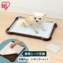 トイレトレー レギュラー 犬 しつけ 犬 トイレ トイレトレー シーツぴたっとトレー レギュラー P ...