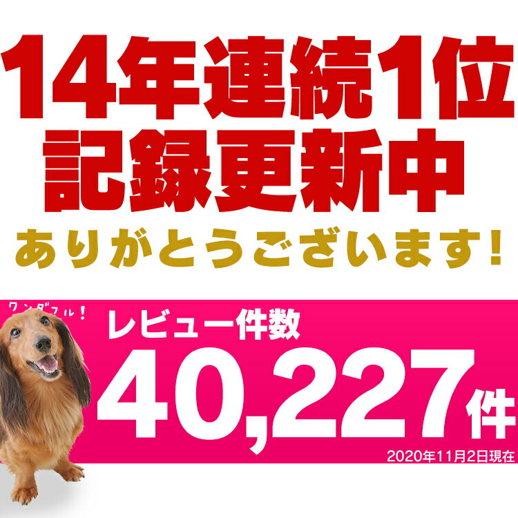 薄型ペットシーツ レギュラー800枚/ワイド400枚送料無料 ペット シート シーツ ペットシート ペットシーツ ペット用 犬 猫 ペットシーツ トイレ 超薄型 1回使い捨て Pet館 ペット館 ※目隠し不可※