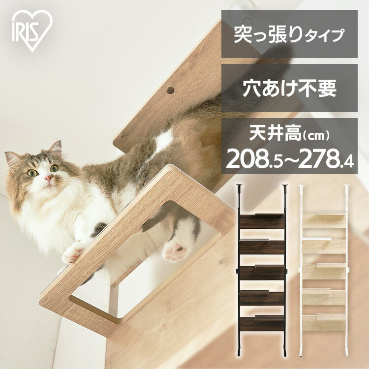 楽天Pet館〜ペット館〜キャットタワー キャットウォーク キャットステップ アイリスオーヤマ 猫 ステップ付 クリアシェルフ 突っ張り 壁面 おしゃれ インテリア 省スペース 透明 CATS-68【AR対応】