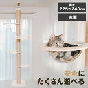 楽天Pet館〜ペット館〜＜新商品！＞キャットタワー キャットハウス つっぱり式 突張式アスレチックタワー バルコニー キャットポール 爪とぎ 多頭飼い 省スペース バルコニー付き アクリルボール 猫ハウス 木製 1011103004 【D】