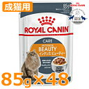 ロイヤルカナン FHN-WET ビューティ 85g×48個セット送料無料 正規品 キャットフード 猫 ウェット パウチ 成猫 アダルト まとめ買 Pet館 ペット館 楽天 【D】【9003579308929】